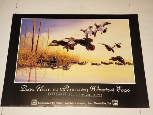 Vtg sep 1996 ducks unlimited - sep.,